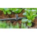 GARDENA MDS T-Stück für Sprühdüsen/ Endtropfer 4,6 mm 13216-20